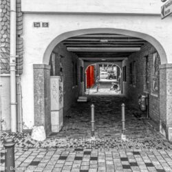 Begegnung © Bernhard Schroth
