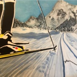 Skilanglauf © R.Langemeier