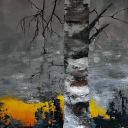 Talblick © C. Kohl